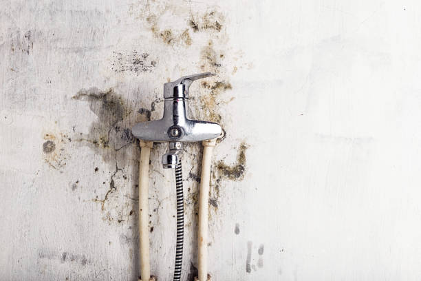 Best Toxic Mold Removal  in Bren Arrow, OK