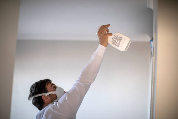 Best Black Mold Removal  in Bren Arrow, OK