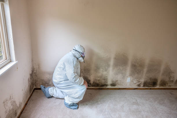 Certified Mold Removal in Broken Arrow, OK