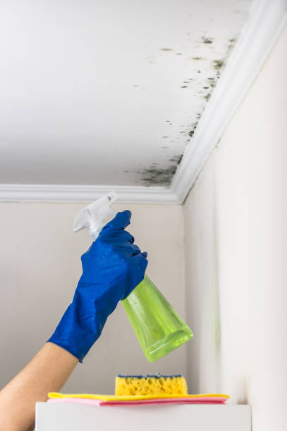 Best Mold Testing  in Bren Arrow, OK